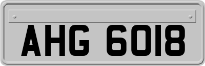 AHG6018