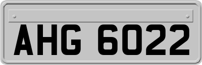 AHG6022