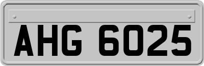 AHG6025