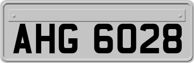 AHG6028