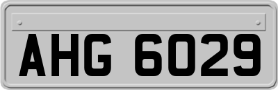 AHG6029