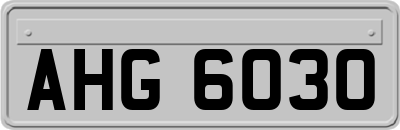 AHG6030