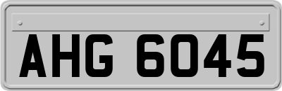 AHG6045
