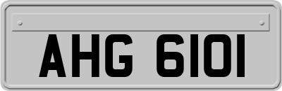 AHG6101