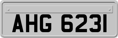 AHG6231