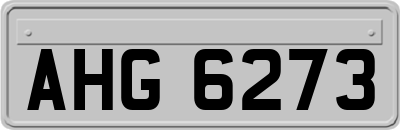 AHG6273