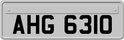 AHG6310