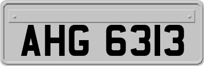 AHG6313