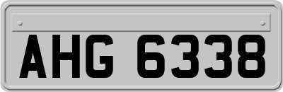 AHG6338