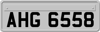 AHG6558