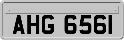 AHG6561