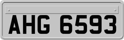 AHG6593
