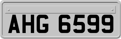 AHG6599