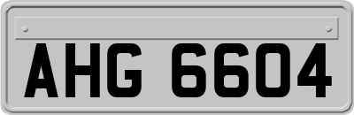 AHG6604