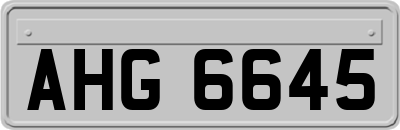 AHG6645