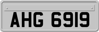 AHG6919