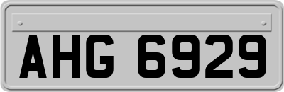 AHG6929