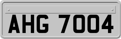 AHG7004