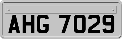 AHG7029