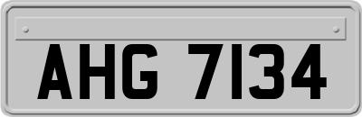 AHG7134