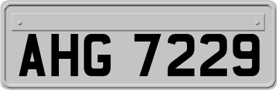 AHG7229
