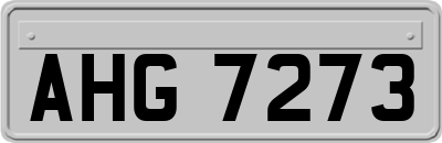 AHG7273