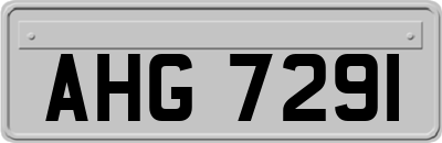 AHG7291