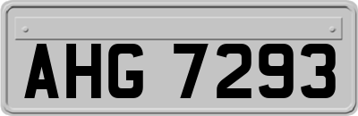 AHG7293