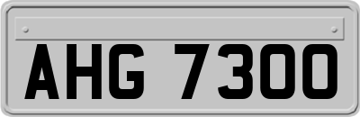 AHG7300