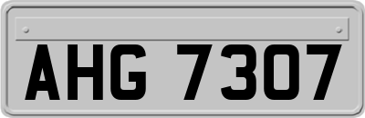 AHG7307