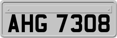AHG7308