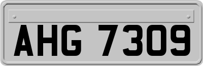 AHG7309