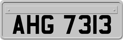 AHG7313