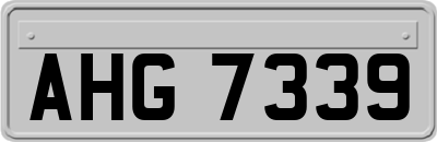 AHG7339