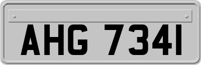 AHG7341