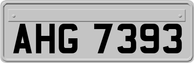 AHG7393