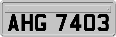 AHG7403