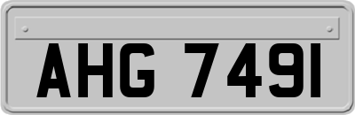 AHG7491