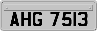AHG7513