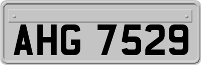 AHG7529