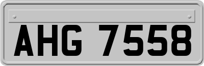 AHG7558