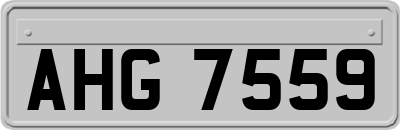 AHG7559