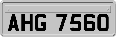 AHG7560