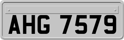 AHG7579
