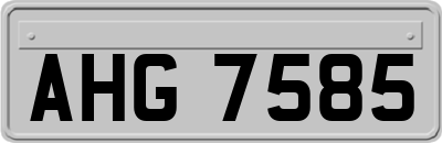 AHG7585
