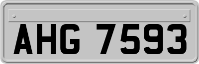 AHG7593