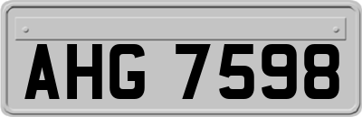 AHG7598