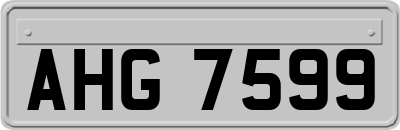 AHG7599