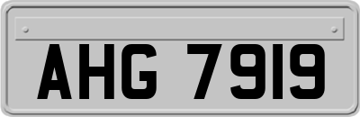 AHG7919