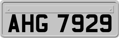 AHG7929